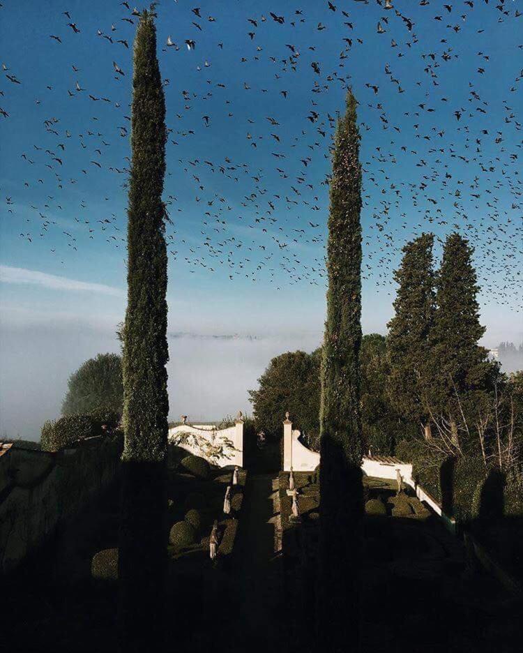 Villa Le Piazzole Floransa Dış mekan fotoğraf